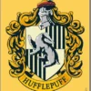 Dragon Shield Brushed Art Sleeves - Wizarding World: Hufflepuff (100 stuks)