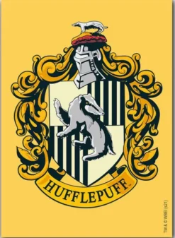Dragon Shield Brushed Art Sleeves - Wizarding World: Hufflepuff (100 stuks)