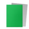 Dragon Shield Dual Matte Sleeves: Apple Green & Silver (100 stuks)