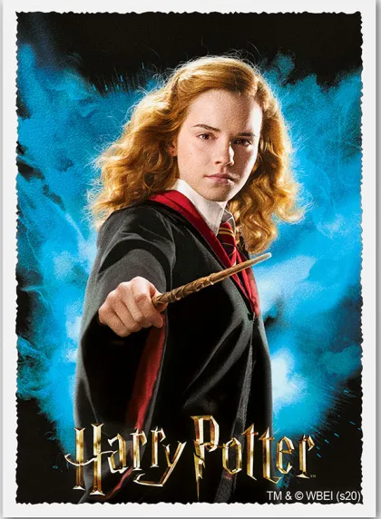Dragon Shield Matte Art Sleeves - Wizarding World: Hermoine Granger (100 stuks)