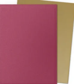 Dragon Shield - Special Edition Sleeves Dual Matte: Red Gold (100 stuks)