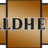 Foil Basic Land Pack Kaldheim (40 cards)