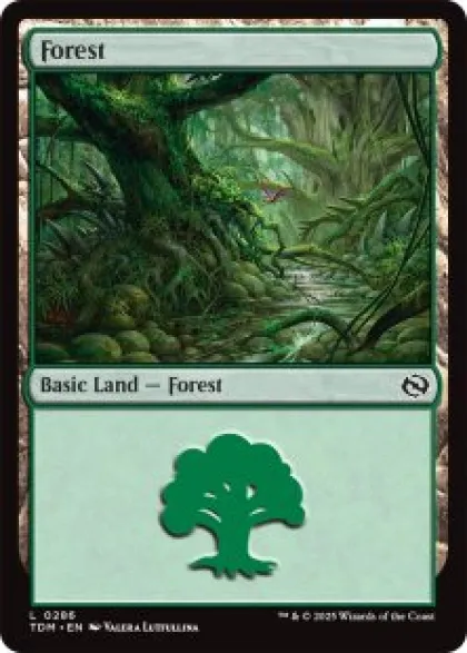 Forest (#286) - Tarkir: Dragonstorm