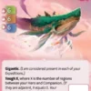 Kaibara, Asgarthan Leviathan (F) - Altered Kickstarter