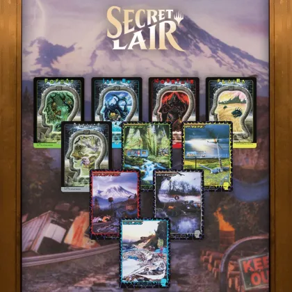 Magic: The Gathering - Secret Lair Drop Series: Secret Lair x Brain Dead: Lands