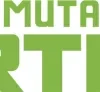 Magic: The Gathering - Teenage Mutant Ninja Turtles Magic Card Box
