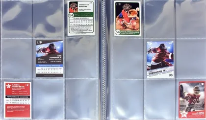 Premium Pro 9 Pocket Window Binder