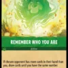 Remember Who You Are - Shimmering Skies