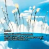 Rending Volley (foil) (borderless) - Avatar: The Last Airbender Eternal Varianten