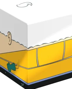 Squaroes - SpongeBob SquarePants Deckbox [SB010]: Mermaid Man