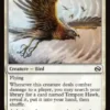 Tempest Hawk - Tarkir: Dragonstorm