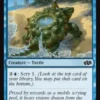 Tidepool Turtle - Jumpstart 2025