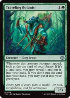 Traveling Botanist (foil) - Tarkir: Dragonstorm