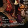 Treetop Village (foil) (borderless) - Avatar: The Last Airbender Eternal Varianten
