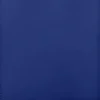 Vivid Pro 12 Pocket Zippered Binder: Blue