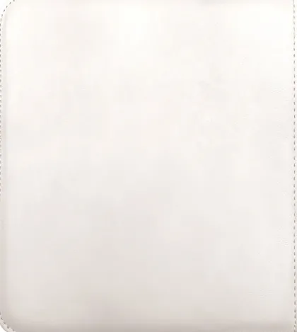 Vivid Pro 12 Pocket Zippered Binder: White